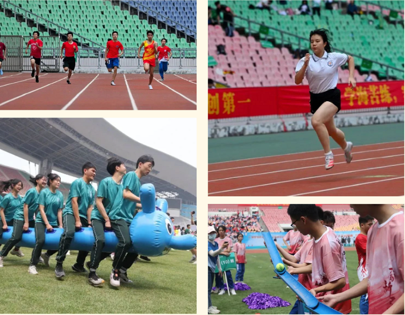 微信图片_20230324104456.png